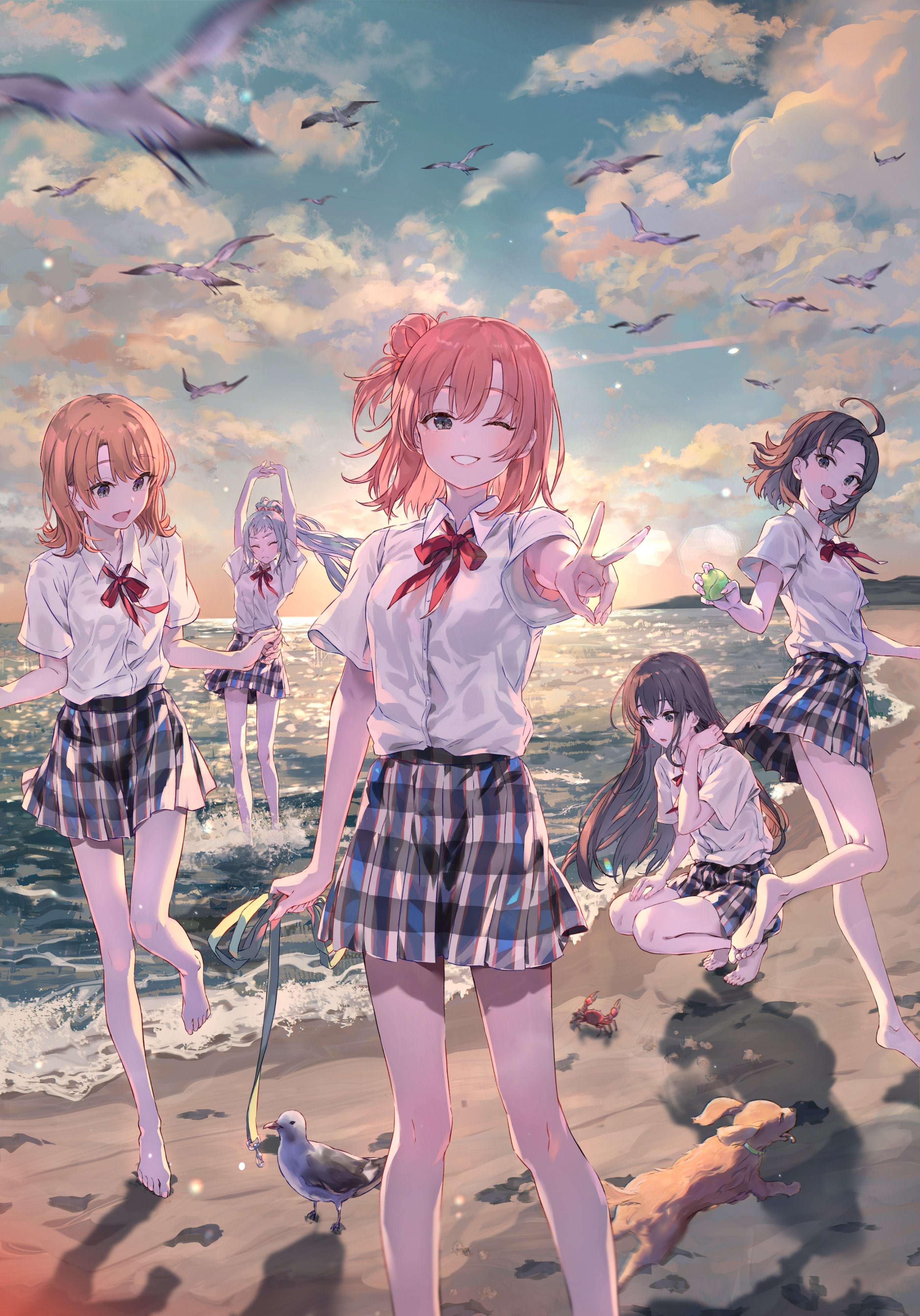 ponkan8 Goods – TRICCORONDE